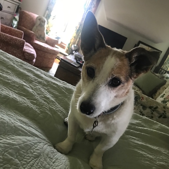 Meet your Posher, Jacki 🙋🏻‍♀️ - Picture 8 of 8